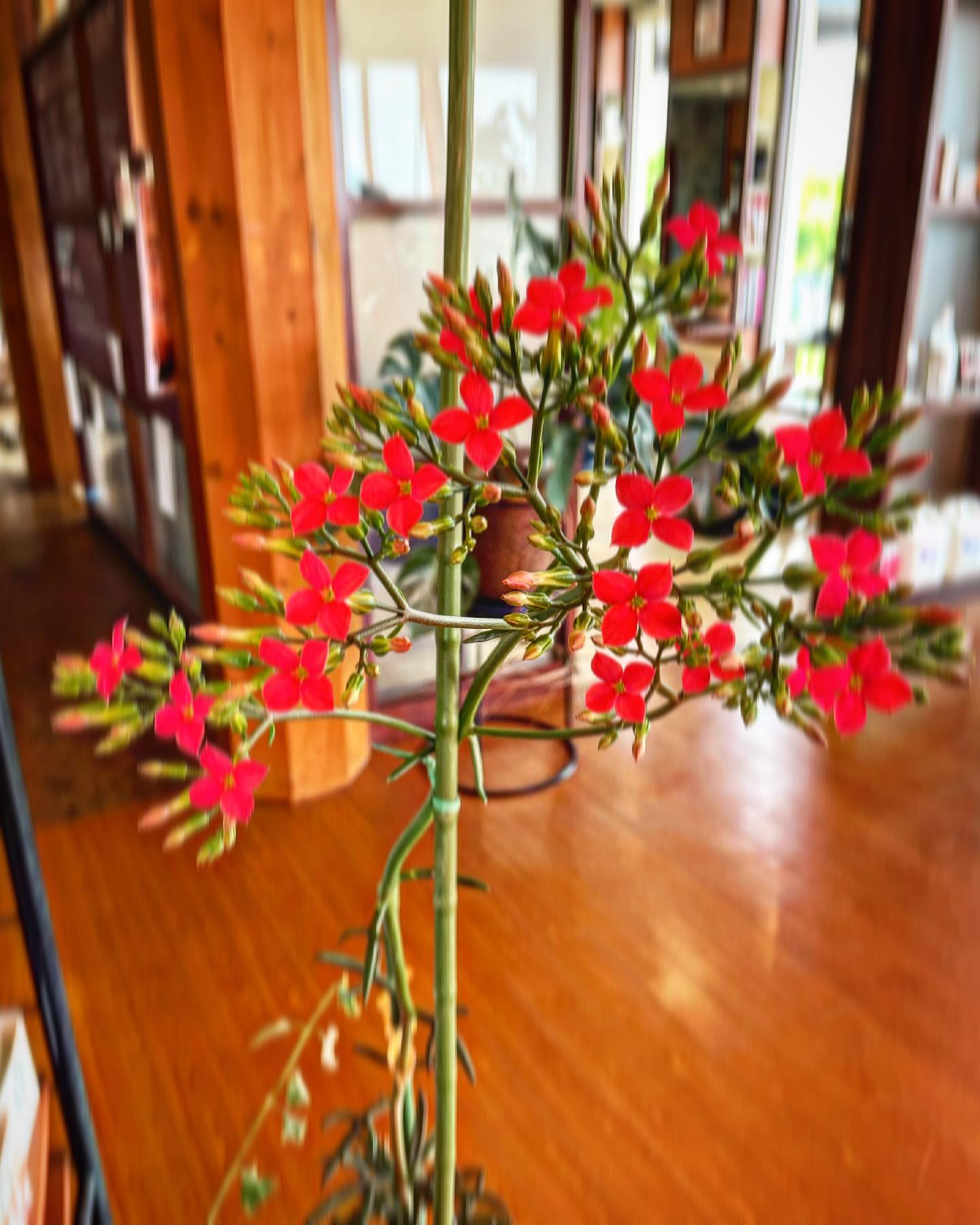 photo_10